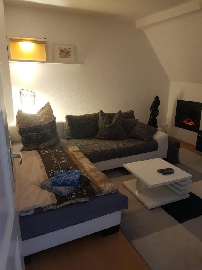Apartment Am Suedpark Erfurt - Inkl Garten Mit Sitzlounge - Zentrumsnah Dış mekan fotoğraf